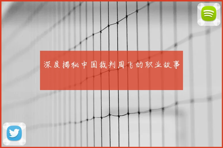 深度揭秘中国裁判周飞的职业故事